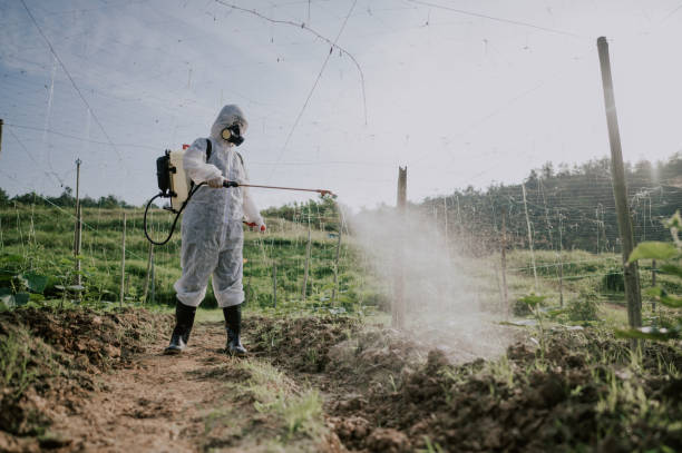 Best Pest Removal Services  in Hamilton, MT