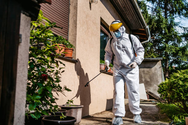 Best Ant Control Services  in Hamilton, MT